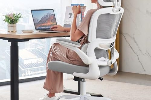 TRALT ergonomic office chair for back pain relief